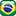 Português-Brasil